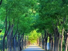 -东郊湿地公园