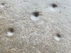 -泰山风景名胜区-普照寺