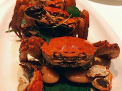 花雕醉熟蟹-民国红公馆·秦淮八艳(夫子庙店)