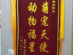 -瑞鹏宠物医院·骨外科·心肾科·肿瘤科(九亭店)
