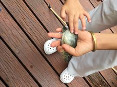 儿童活动&nbsp;钓鱼-三亚亚龙湾雅高美爵酒店