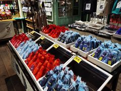 -猫咪博物馆(顶澳仔猫街店)