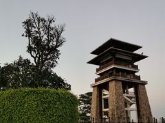 -大湾区中央湿地公园
