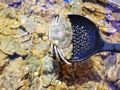 -澜悦港海鲜体验主题餐厅