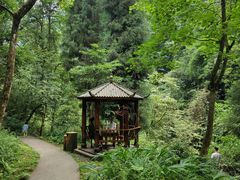 -西岭雪山大飞水景区