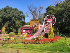 -上海共青森林公园