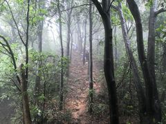 -黄埔油麻山森林公园
