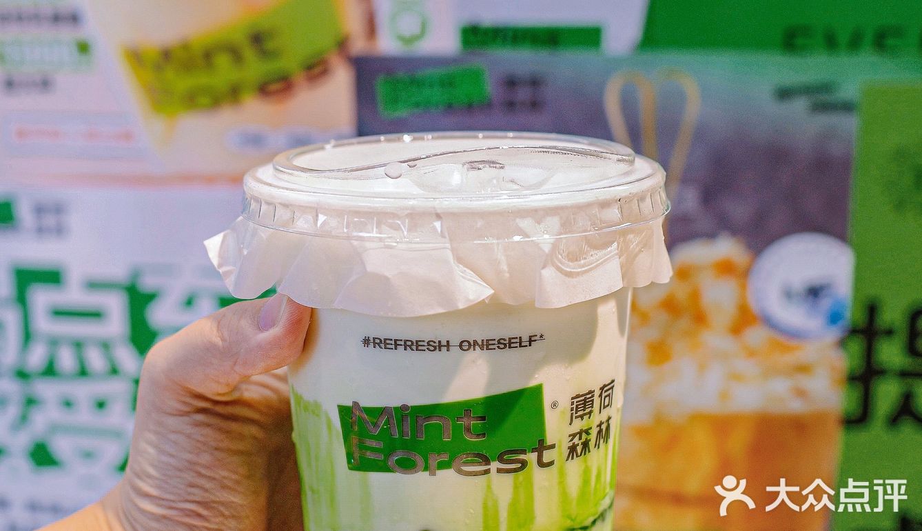 清凉到我的心巴上‼️薄荷森林来成都了