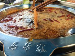 -马帮寨院坝火锅(龙港公园店)