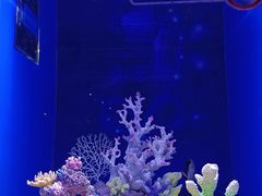 -上海海昌海洋公园