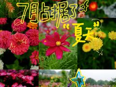 -海淀公园