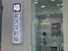 -爱洗澡的猫(望京店)