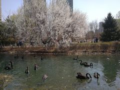 -长白岛森林公园