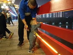 -咸阳湖景区-古渡公园