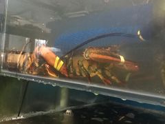 -王四营海鲜市场