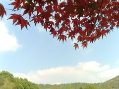 -旺山·浪头人家