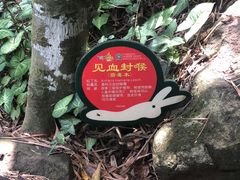 -呀诺达热带雨林