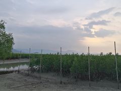 -盐洲岛