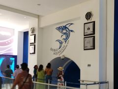 -迪拜水族馆及水下动物园