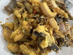 鸭嘴鱼-鲤鱼塘农家山庄