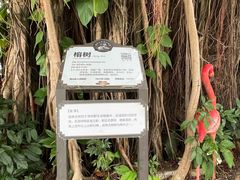 -深圳野生动物园
