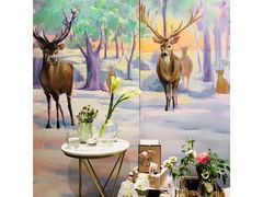 -蝶舍·MAISON PAPILLON