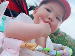 -枫香湖儿童公园