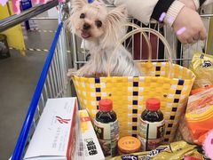 -麦德龙(郑东店)