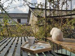 -喵屿·大理花园猫咖