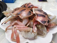 -欢乐海岸美食联盟
