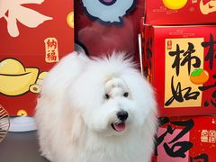 -全心全意动物诊疗中心医院(北苑店)