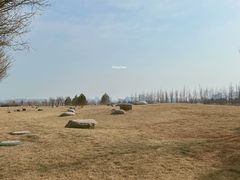 -汉长安城未央宫国家考古遗址公园