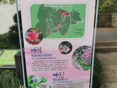 -杭州植物园