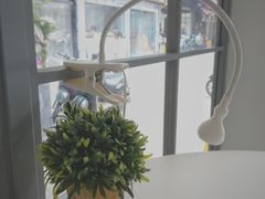 -大熊小厨(七星店)