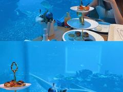 -涛·海底餐厅·美人鱼·自助餐·海底隧道(三亚海棠湾洲际度假酒店)