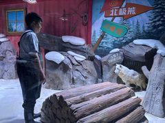 -上海海昌海洋公园-冰山北极馆