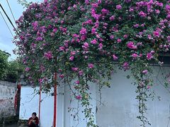 -西溪南古村落景区