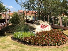 -上海长兴岛郊野公园