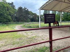 -太阳岛旅游度假区