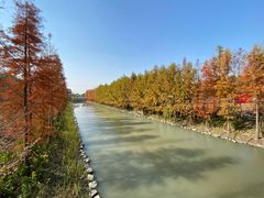 -柳鹭田园区