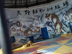 -新疆天山野生动物园