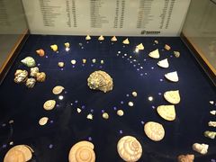 -青岛贝壳博物馆