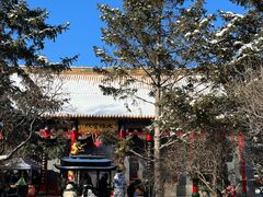 -哈尔滨极乐寺