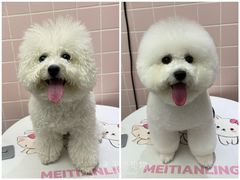 -FAELING PETS美天灵宠物(富力广场店)