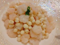 -圆苑(金茂店)