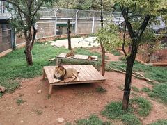 -昆明动物园