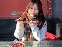 -萬春金福下午茶(故宫店)