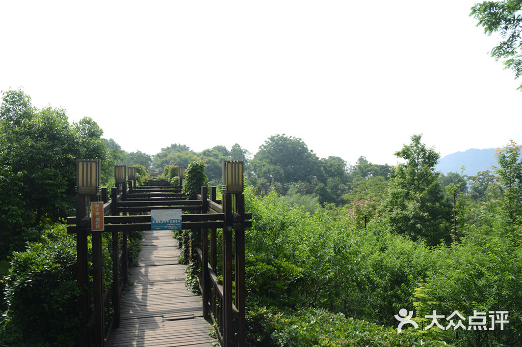 太白巖公園-圖片-萬州區周邊遊-大眾點評網