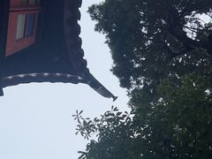 -东山雕花楼