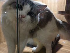 -台山新孖宝柴火黄鳝饭(三合温泉店)